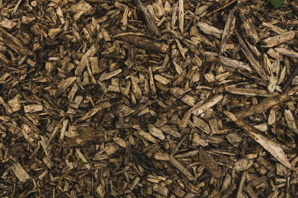 Utilisation des copeaux comme paillis naturel